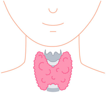 Thyroid gland lobes icon. Faceless body silhouette. Thyroid hormones function support. Hyperthyroidism and hypothyroidism diseases. Metabolism control. Body anatomy diagram. Vector illustration.