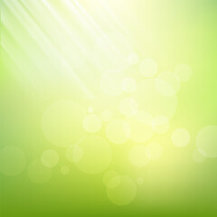 Bokeh Abstract Spring or Summer green Background