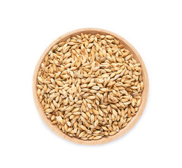 top view overhead flat lay malt barley grain beer whole in wood plate isolated on white background. pile of malt barley grain beer whole isolated. heap of malt barley grain beer whole isolated     