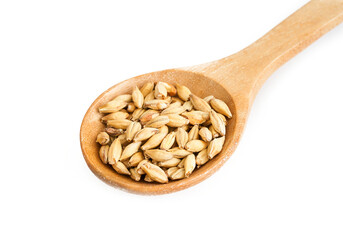malt barley grain beer whole in wood spoon isolated on white background. pile of malt barley grain beer whole isolated. heap of malt barley grain beer whole isolate