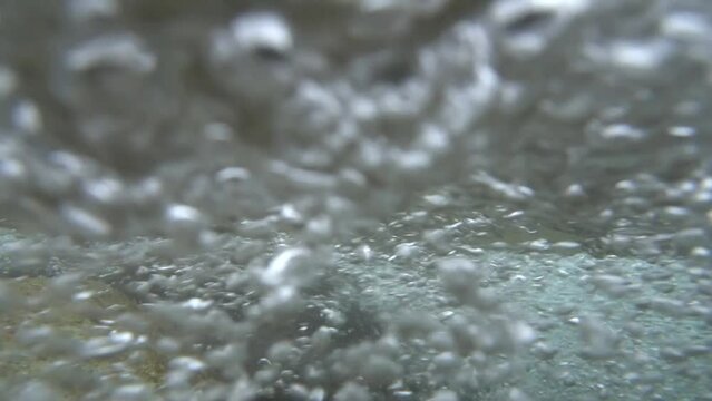 清流の水中と水上の風景　三重県　紀北町　銚子川