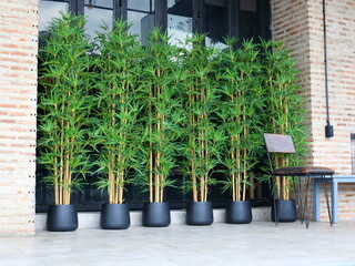 Japanese style of artificial bamboo tree in black pot in row and mirror benind. Outside front of modern building.