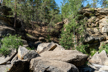 spring in the forest