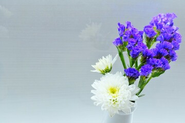 白背景に飾られた白い菊と紫のスターチスの花