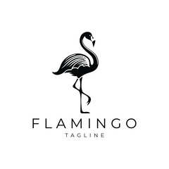 Flamingo logo design vector illustration