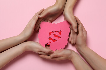Concept of health care and internal organs - intestines