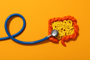Concept of health care and internal organs - intestines