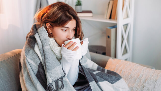 Tea warm. Rest drinking. Autumn shivering. Cold brunette woman in blanket enjoying hot beverage feeling frozen sitting on couch in light home interior.