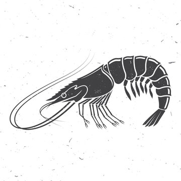 recommend clip art: Shrimp icon silhouette. Vector illustration. Vintage monochrome shrimp on white background. Prawns. For seafood emblem, sign, patch, shirt, menu restaurants, fish markets, stores, label, sticker.