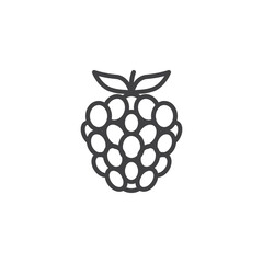 Raspberry fruit line icon