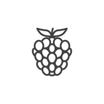 recommend clip art: Raspberry fruit line icon