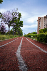 Fototapeta na wymiar Empty and green red walking path in the park