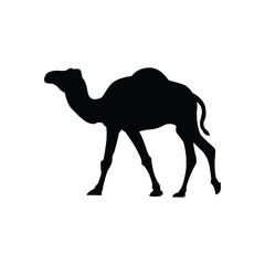 Camel silhouette illustration design, camel silhouette isolated, print and decoration