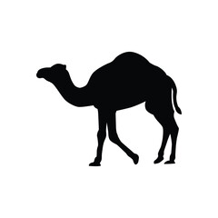 Camel silhouette illustration design, camel silhouette isolated, print and decoration