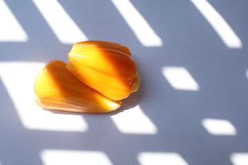 two jackfruits on a white background, isolated jackfruits