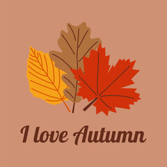 Start of fall. Cozy autumn postcard. Lettering I Love Autumn. Warm autumn season. Vector illustration