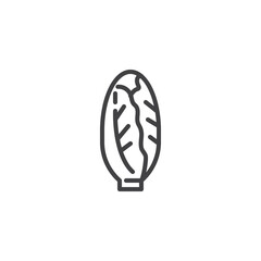Endive vegetable line icon