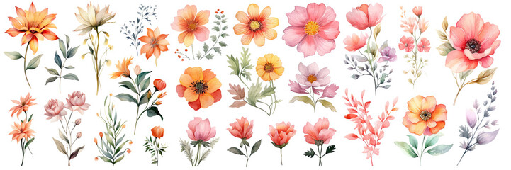 Watercolor blush floral clipart , Watercolor collection of hand drawn flowers , Botanical plant illustration transparent background, PNG ,Generative AI