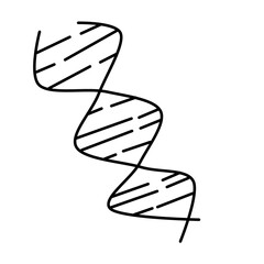 DNA