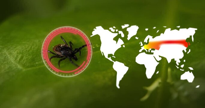 Analysis of tick on green leaf and overlay of digital distribution map of tick-borne encephalitis infections