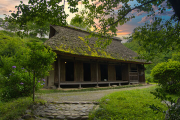 Fototapeta na wymiar Traditional Japanese house with a thatched roof