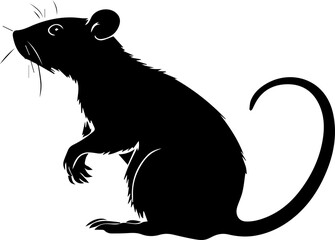 Silhuette rat animal images