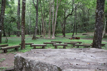 April 29, 2023: Nantou Aowanda National Forest Recreation Area