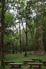 April 29, 2023: Nantou Aowanda National Forest Recreation Area