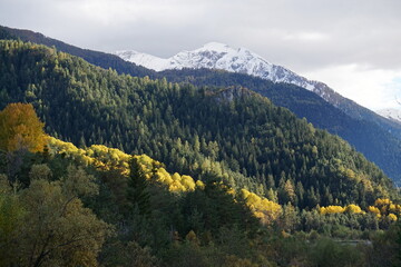 Fototapeta na wymiar autumn in the mountains of the southern Alps, France 