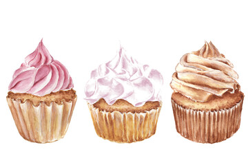 Watercolor cupcakes set. Hand painted  for design of menu.