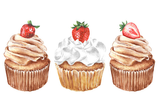 Watercolor set of cupcakes with strawberries. Hand painted  for design of menu.