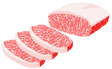 Chunk and slices of raw beef against white background
