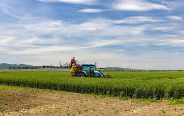 Tractor sprays an oat field