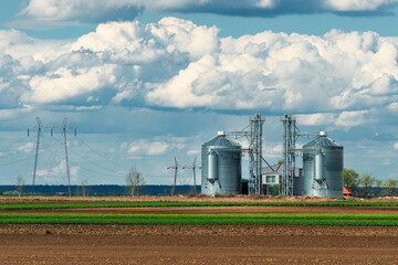 Fototapeta na wymiar Granary storage tanks surrounded by cultivated fields. Grain silo agricultural buildings on farmland.