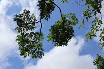 June 5, 2023: Kenting National Forest Recreation Area