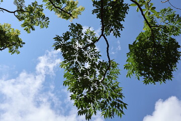 June 5, 2023: Kenting National Forest Recreation Area