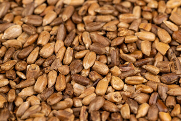 heavily fried sunflower seeds close up