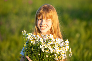 Portrait of a happy little laughing girl in a blue dress on a field with a bouquet of daisies on a sunny summer day at sunset. Summer concept