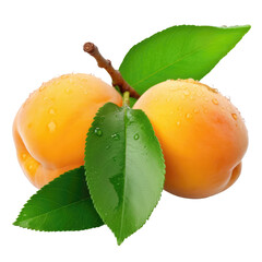 Delicious apricots with green leaves isolated on transparent background, png clip art, template for mark fruit flavor on label of product. Generated with AI.