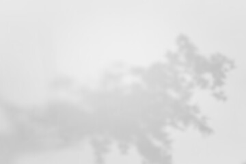 abstract floral shadow overlay