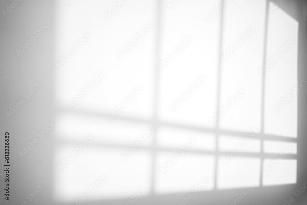 Poster minimalist window shadow overlay