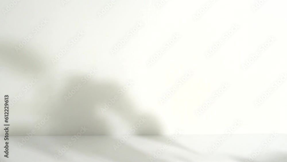 Poster empty room display with minimal floral shadow