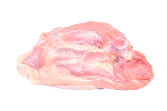 Meat chicken isolated