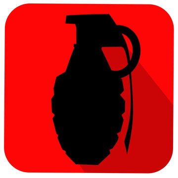 Illustration vector graphic of granade logo icon