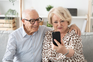 Elderly couple having video conference on phone