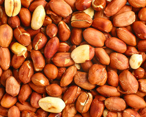 Fried peanut close up