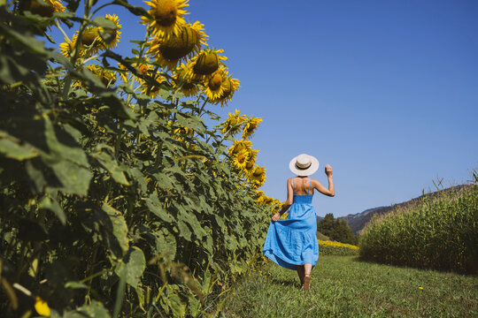 Woman spending leisure time in sunflower field at sunny day