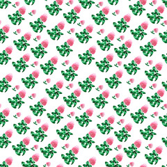 Watercolor seamless pattern with flowers and leaves of red clover