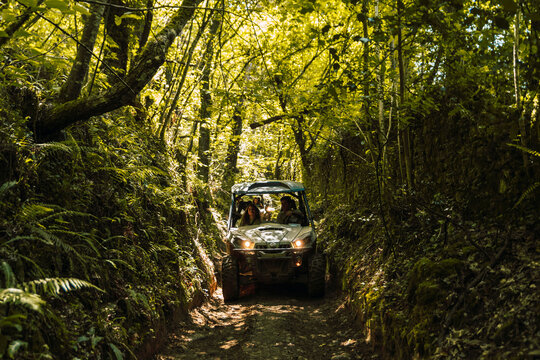 Friends riding buggy on path at forest