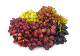 Gapes isolated on white background. 